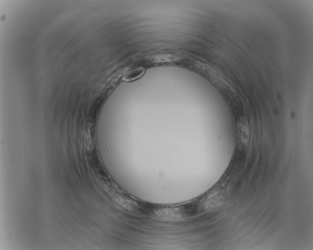 X0000075870422200610062007