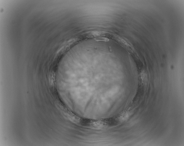 X0000075870423200610062007