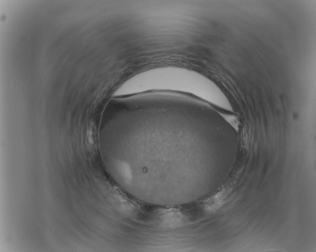 X0000075870424200610062007