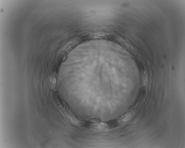 X0000075870427200610062007