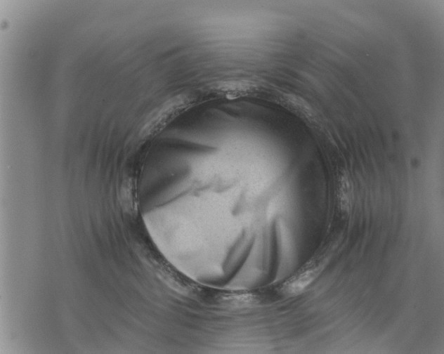 X0000075870428200610062007