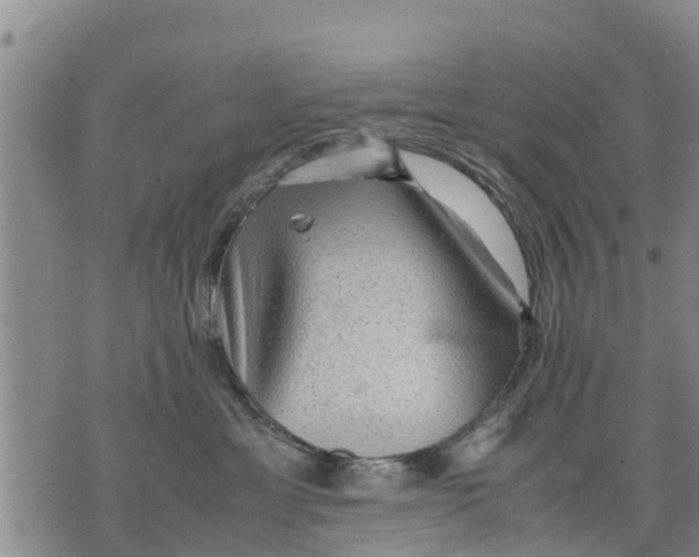 X0000075870429200610062007