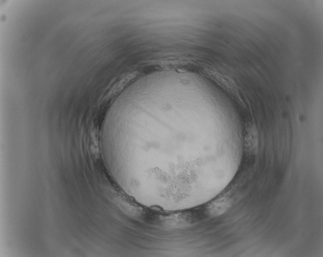 X0000075870430200610062007