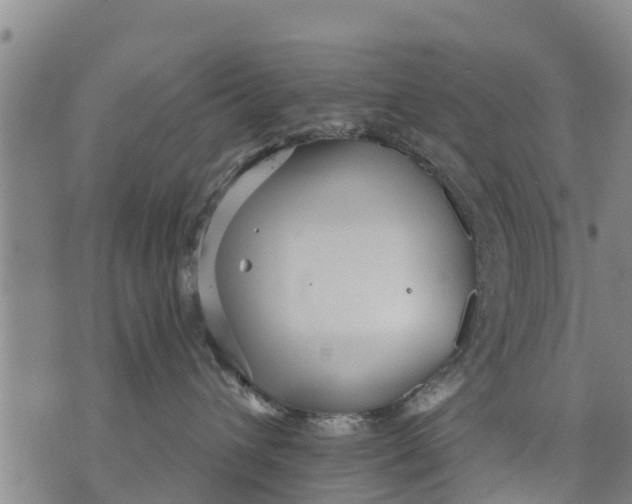 X0000075870432200610062007