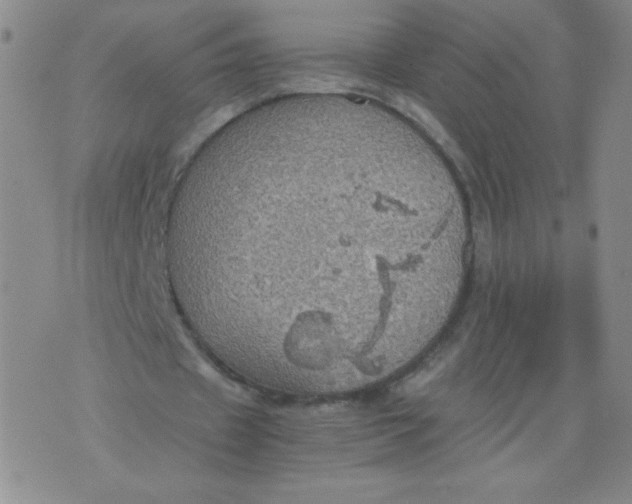 X0000075870433200610062006