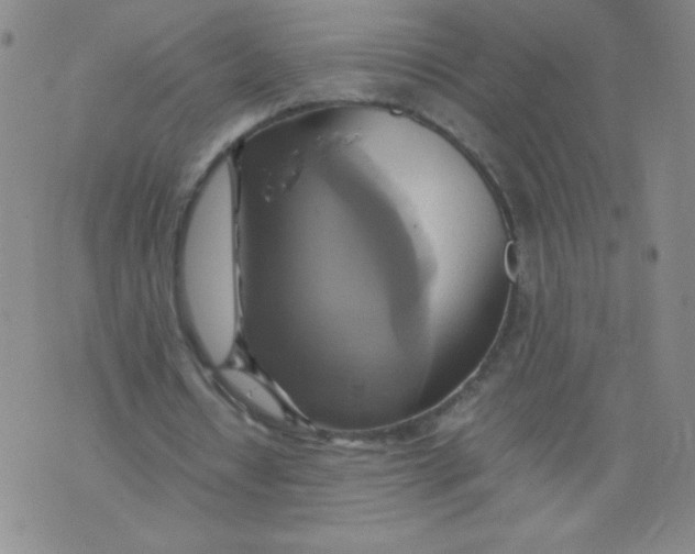 X0000075870434200610062006