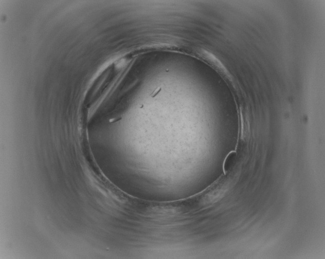 X0000075870435200610062006