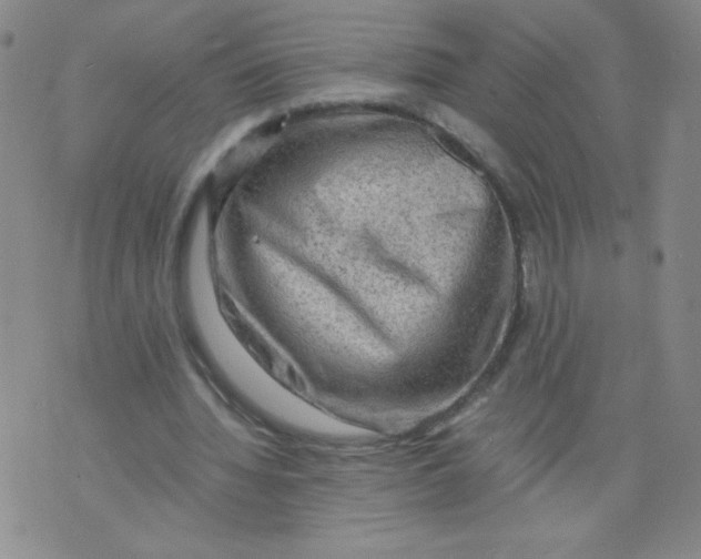 X0000075870436200610062006