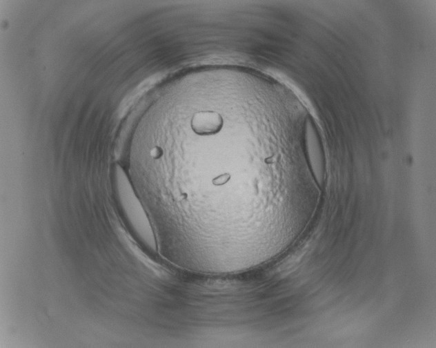 X0000075870437200610062006