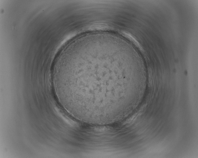 X0000075870439200610062006