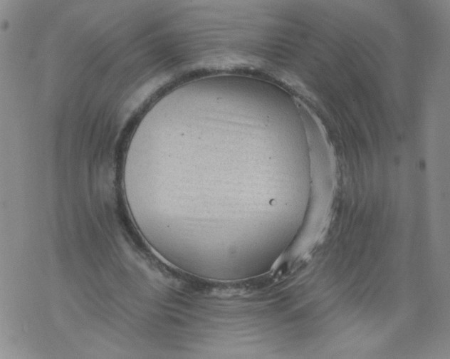 X0000075870440200610062007