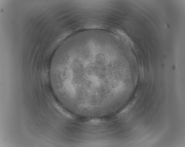 X0000075870441200610062007