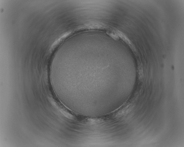 X0000075870442200610062007