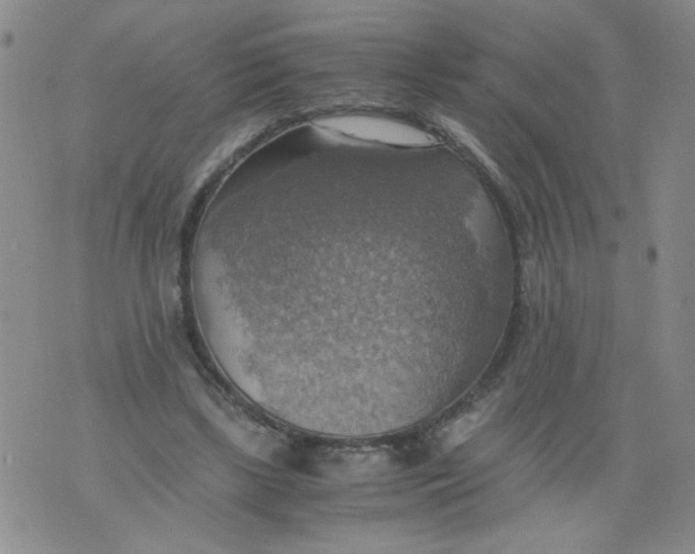 X0000075870443200610062007