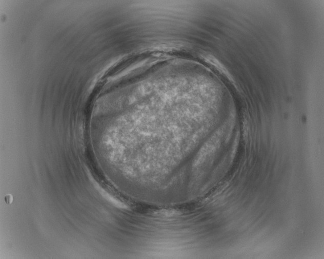 X0000075870444200610062007