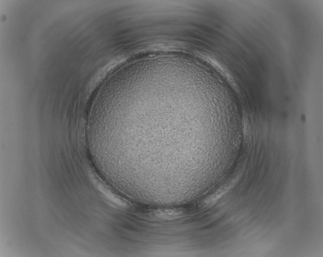 X0000075870445200610062007