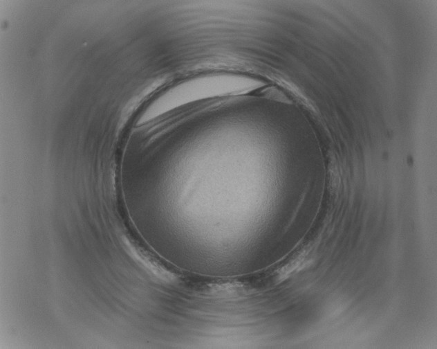 X0000075870446200610062007