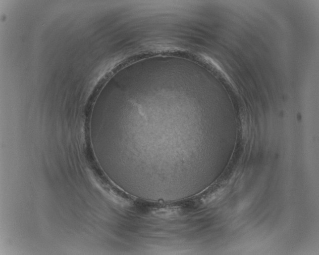 X0000075870447200610062007