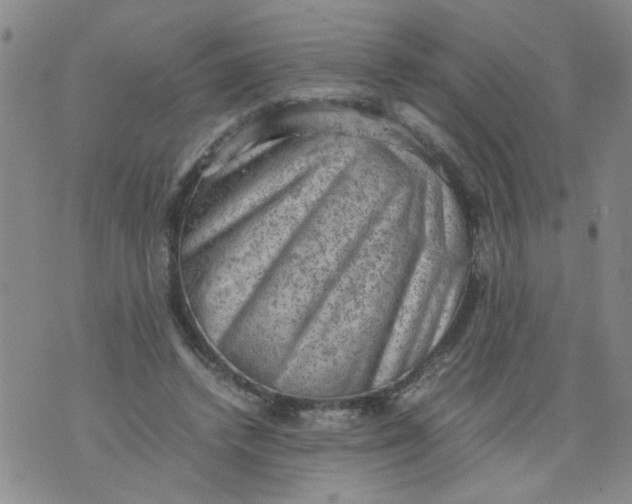 X0000075870448200610062007