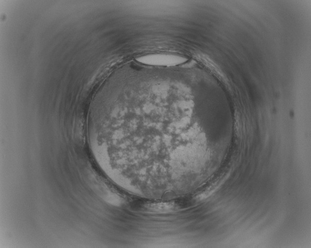 X0000075870449200610062007