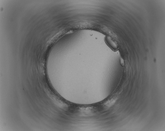 X0000075870450200610062007