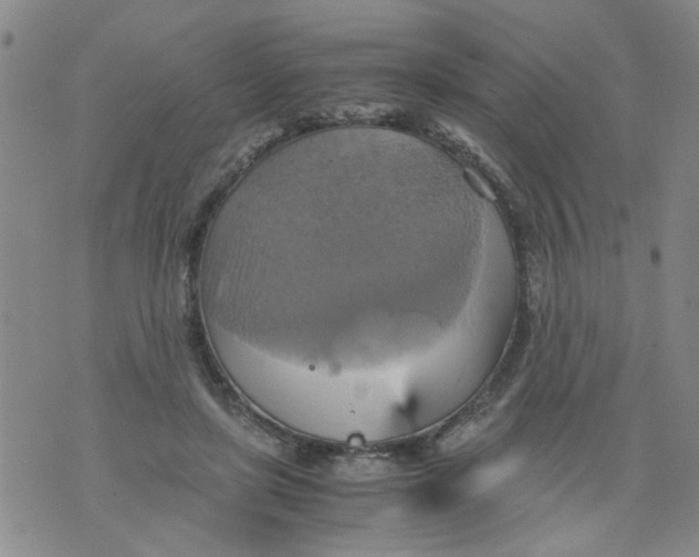 X0000075870451200610062007