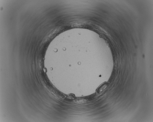 X0000075870452200610062007