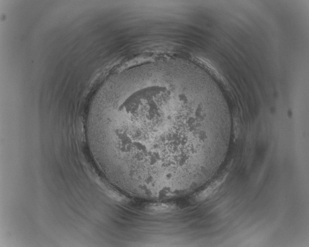 X0000075870453200610062007