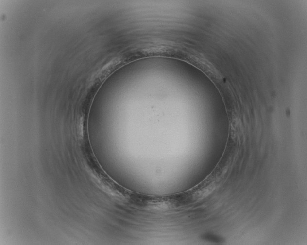 X0000075870454200610062007