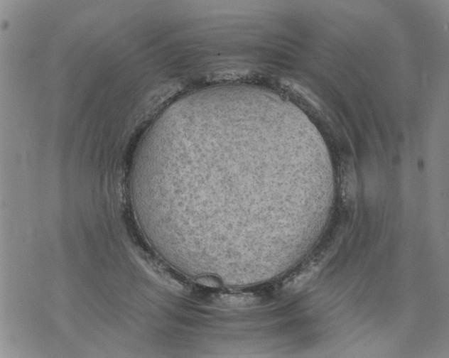 X0000075870455200610062007