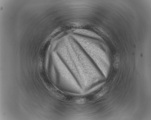 X0000075870456200610062007