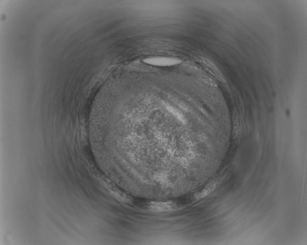 X0000075870457200610062007