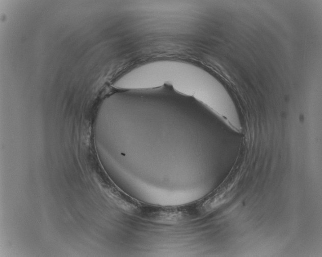 X0000075870458200610062007