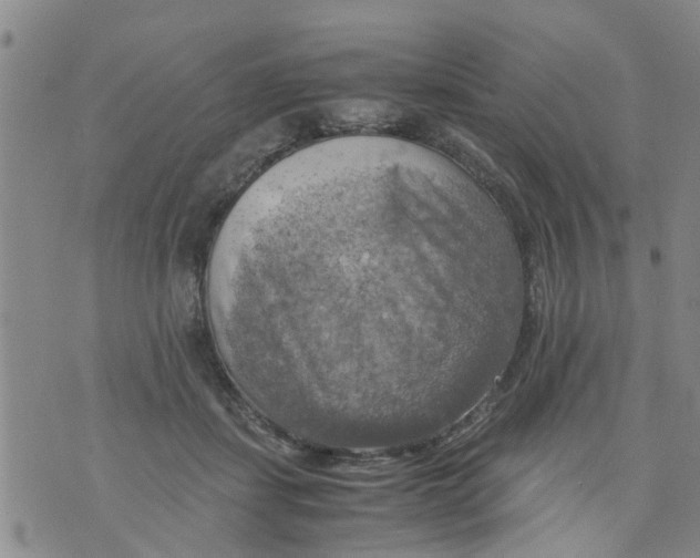 X0000075870459200610062007