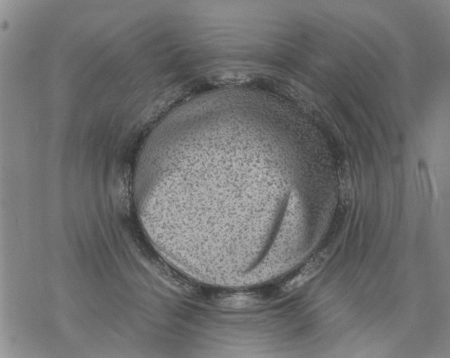 X0000075870460200610062007