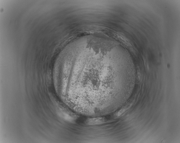 X0000075870461200610062007