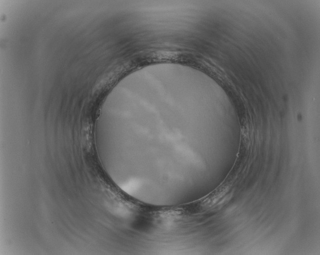 X0000075870462200610062007