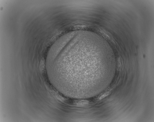 X0000075870463200610062007