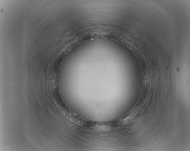 X0000075870464200610062007