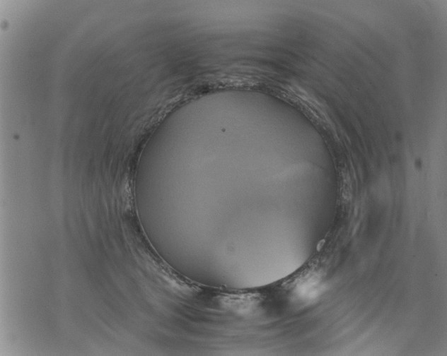 X0000075870465200610062007