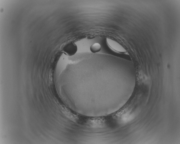 X0000075870466200610062007