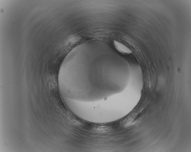 X0000075870467200610062007