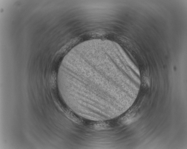 X0000075870468200610062007