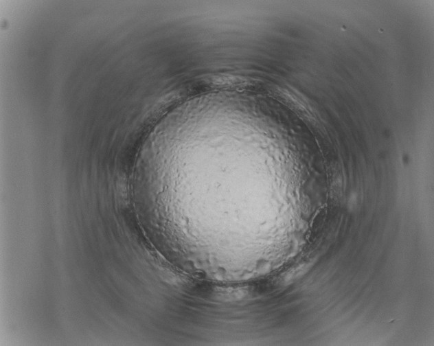 X0000075870469200610062007