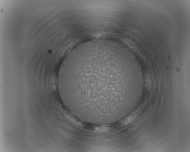 X0000075870470200610062007