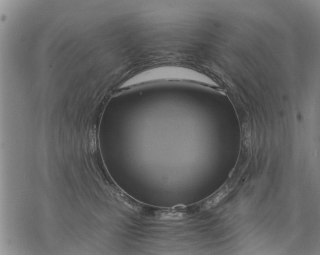 X0000075870471200610062007