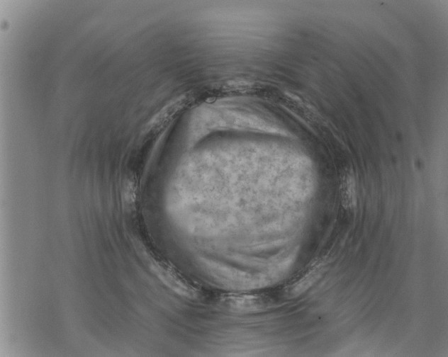 X0000075870472200610062007