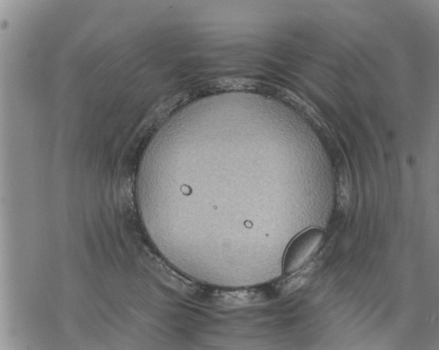 X0000075870473200610062007