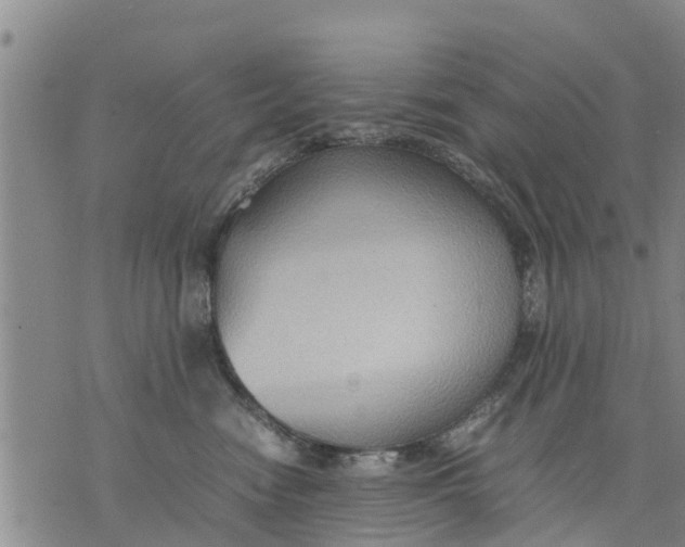 X0000075870474200610062007