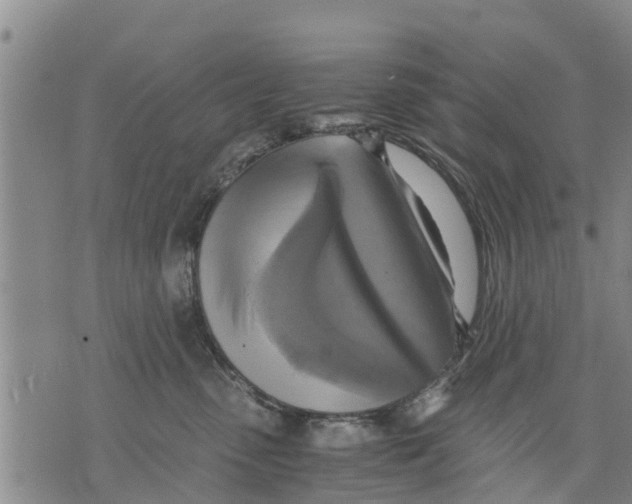 X0000075870475200610062007